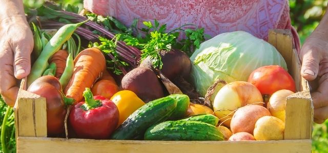 Fruits et l&eacute;gumes bio